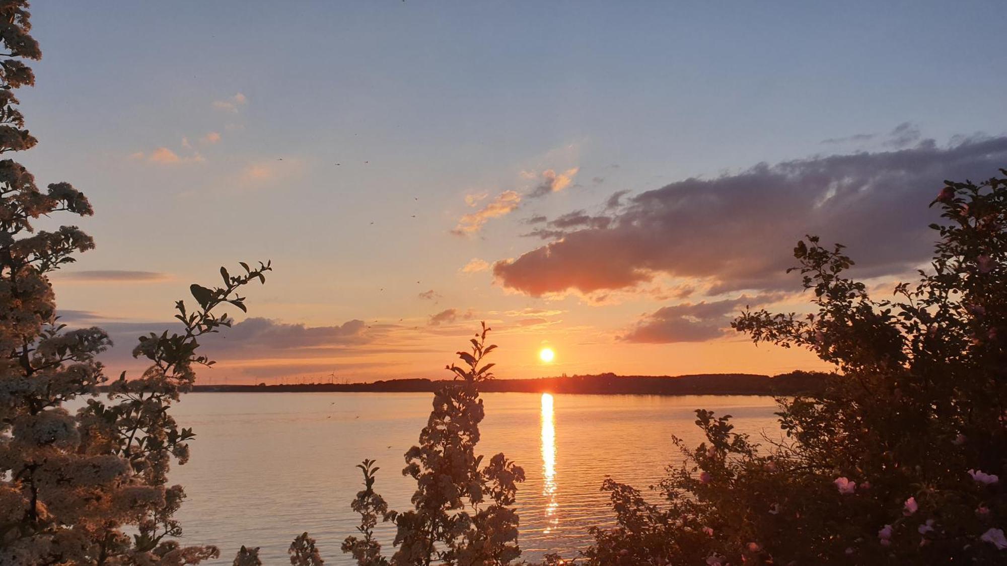 Seensucht & Urlaubstraeume, Ferienwohnung "Strand-Romantik" Senftenberg Bagian luar foto