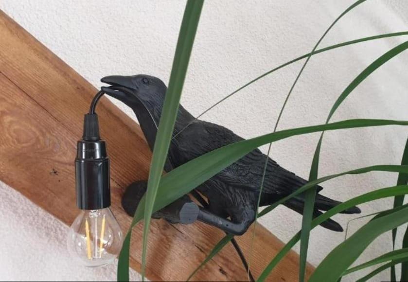 Seensucht & Urlaubstraeume, Ferienwohnung "Strand-Romantik" Senftenberg Bagian luar foto